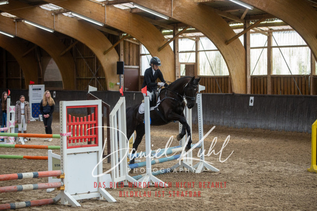 IMG_1908 | Turniersportfotografie; Pferdefotografie; Dressurfotografie