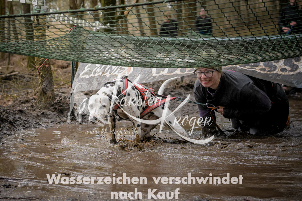 1019_ZZ90457 | kk-dogfotos