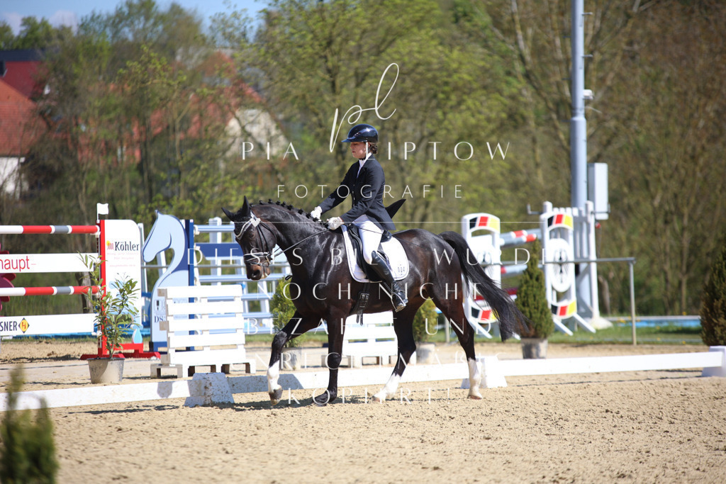 IMGT7874 | pl-fotografie