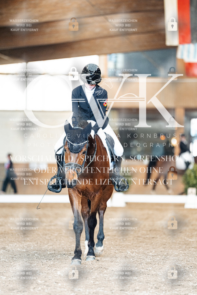CK901560 | Turnierfotografie Pferdefotografie Trier Rheinland-Pfalz Pferdesport Reitsport Tierfotografie Sportfotografie Pferdevideo Pferdevideografie Equestrianvideography equestrianphotography  - Realized with Pictrs.com
