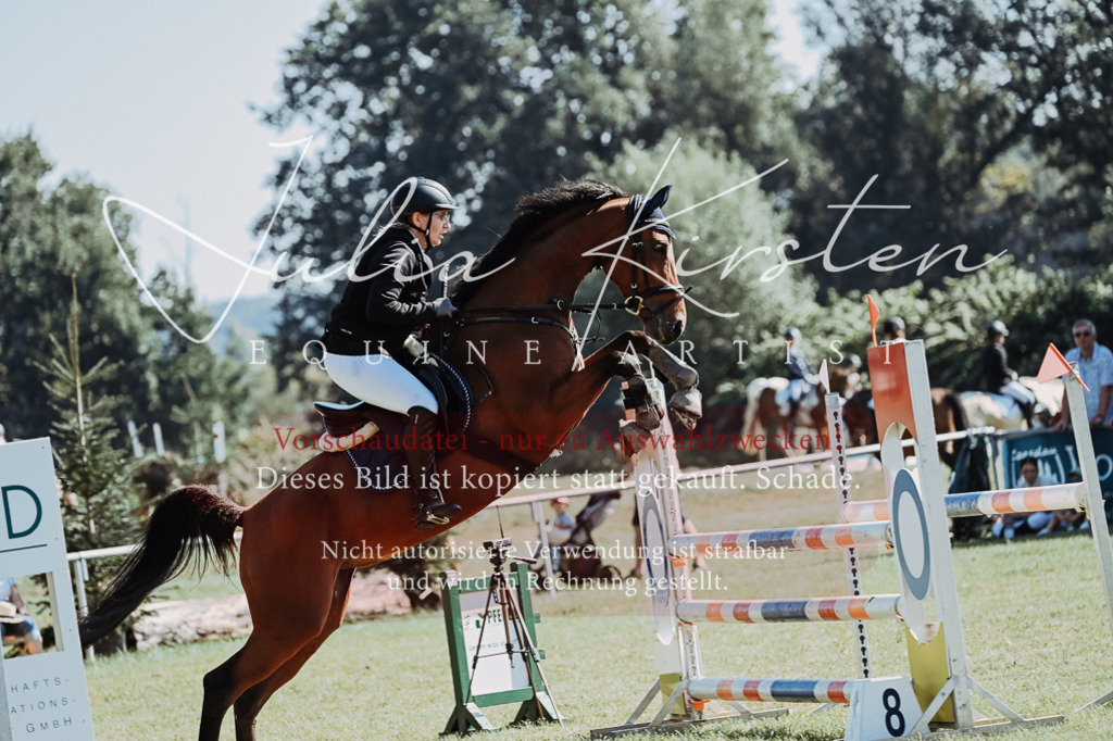 DSC_5800 | Pferde- und Turnierfotografie in Westsachsen. Pferdeportraits, Auftragszeichnungen und intuitive Kunst.