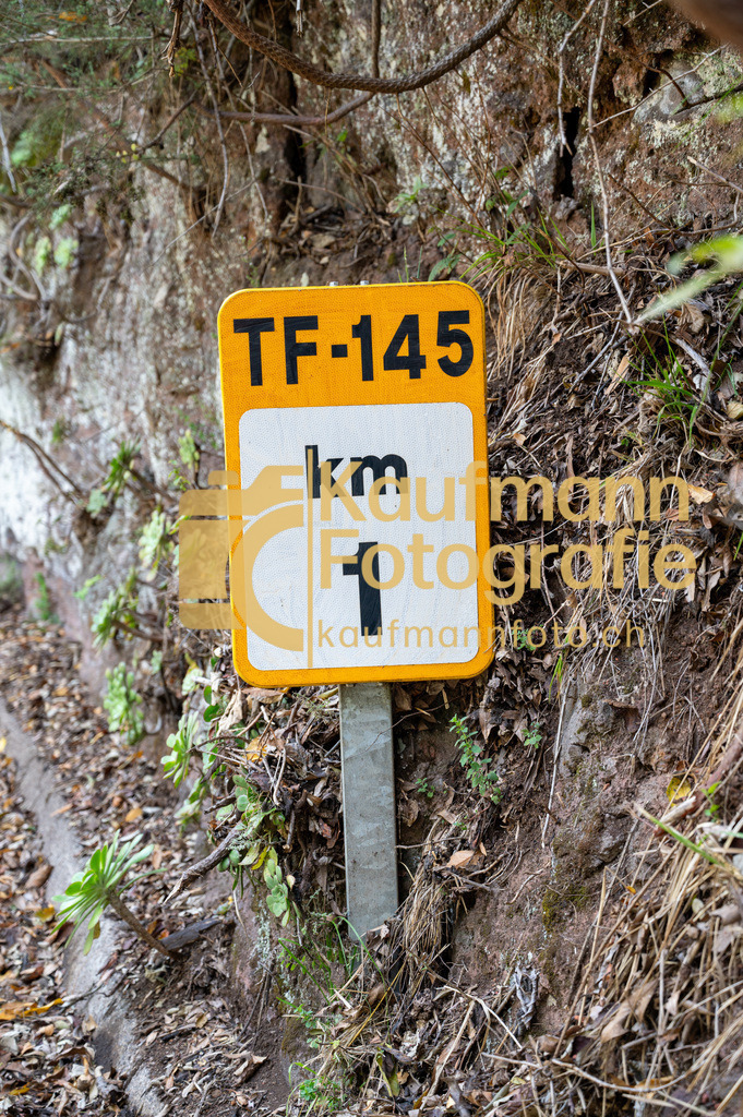 Teneriffe-7427 | kaufmannfoto - Realisiert mit Pictrs.com