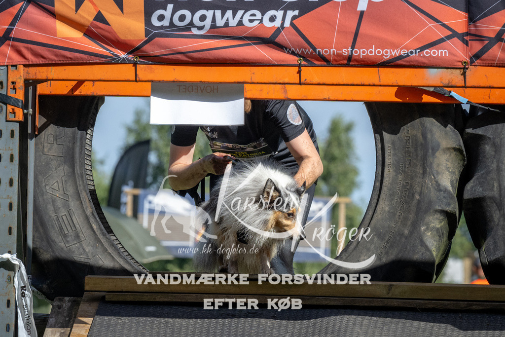 1100_ZZ91724 | kk-dogfotos