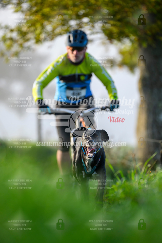 MompixPhotography_20TSB_E3_Bike-77 | PayLife