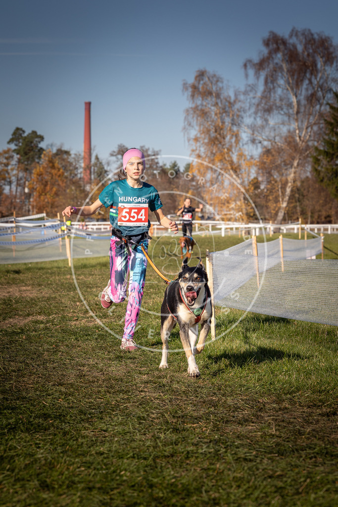 CaniXpix_0L8A7799 | Hundefotografie, Tierfotograf, Pfotenfotografie, Fotoshooting Hund, Hunde Portrait, Hundesport, Hundeportraits, Heideshooting, Hunde, Sportfotograf, Hundefotograf, Turnierhundsport, THS,  - Realisiert mit Pictrs.com