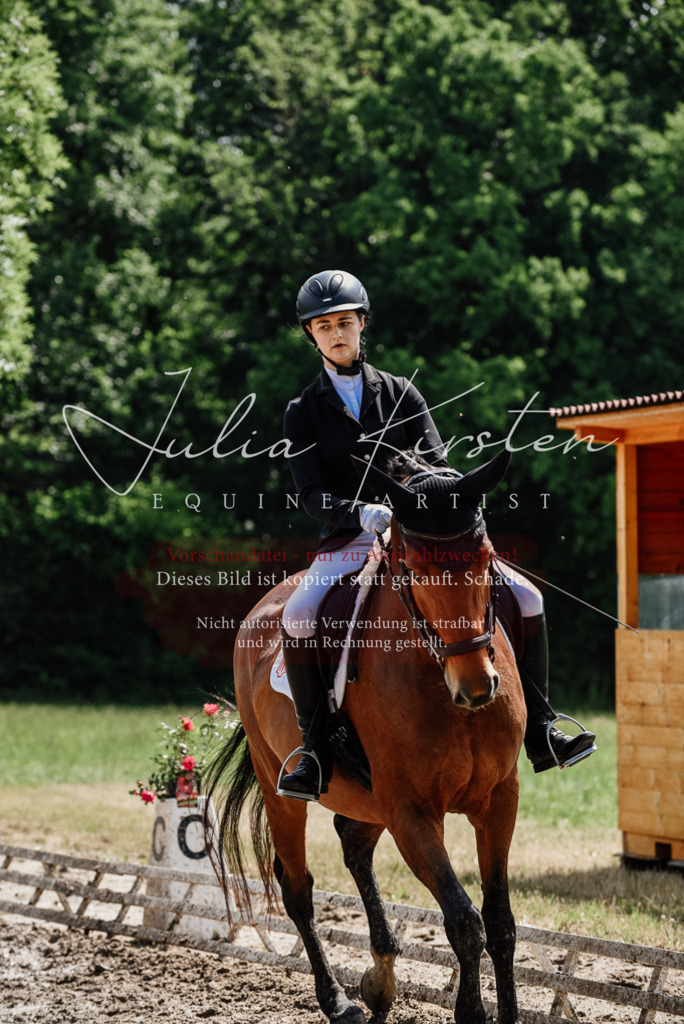 DSC_0971 | Pferde- und Turnierfotografie in Westsachsen. Pferdeportraits, Auftragszeichnungen und intuitive Kunst.