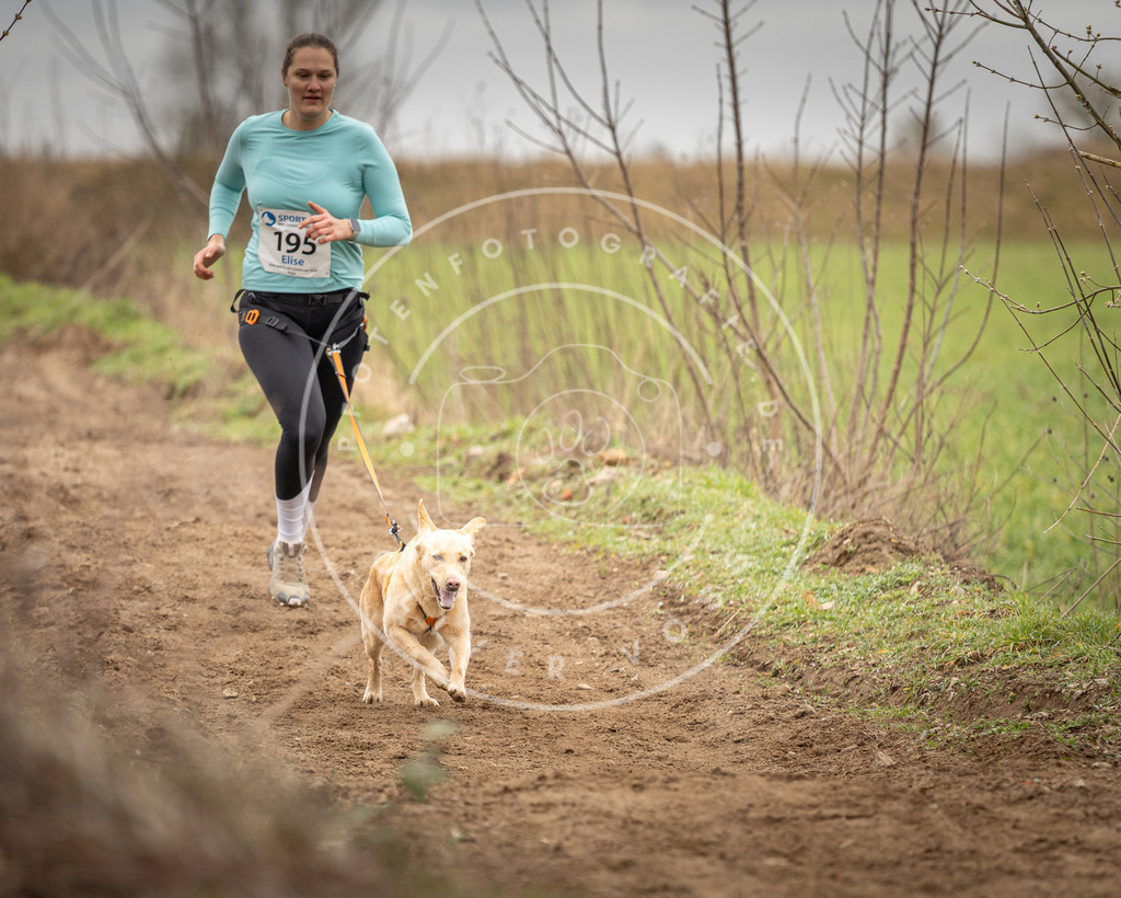 DV3A2286 | Hundefotografie, Tierfotograf, Pfotenfotografie, Fotoshooting Hund, Hunde Portrait, Hundesport, Hundeportraits, Heideshooting, Hunde, Sportfotograf, Hundefotograf, Turnierhundsport, THS,  - Realisiert mit Pictrs.com