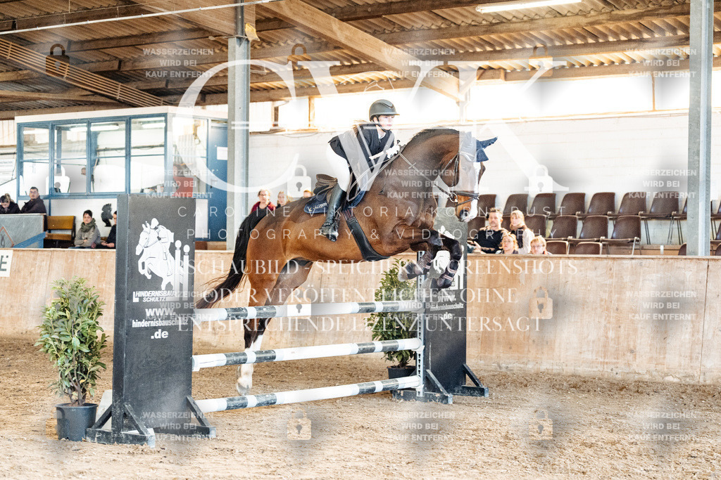 CK905192 | Turnierfotografie Pferdefotografie Trier Rheinland-Pfalz Pferdesport Reitsport Tierfotografie Sportfotografie Pferdevideo Pferdevideografie Equestrianvideography equestrianphotography  - Realisiert mit Pictrs.com