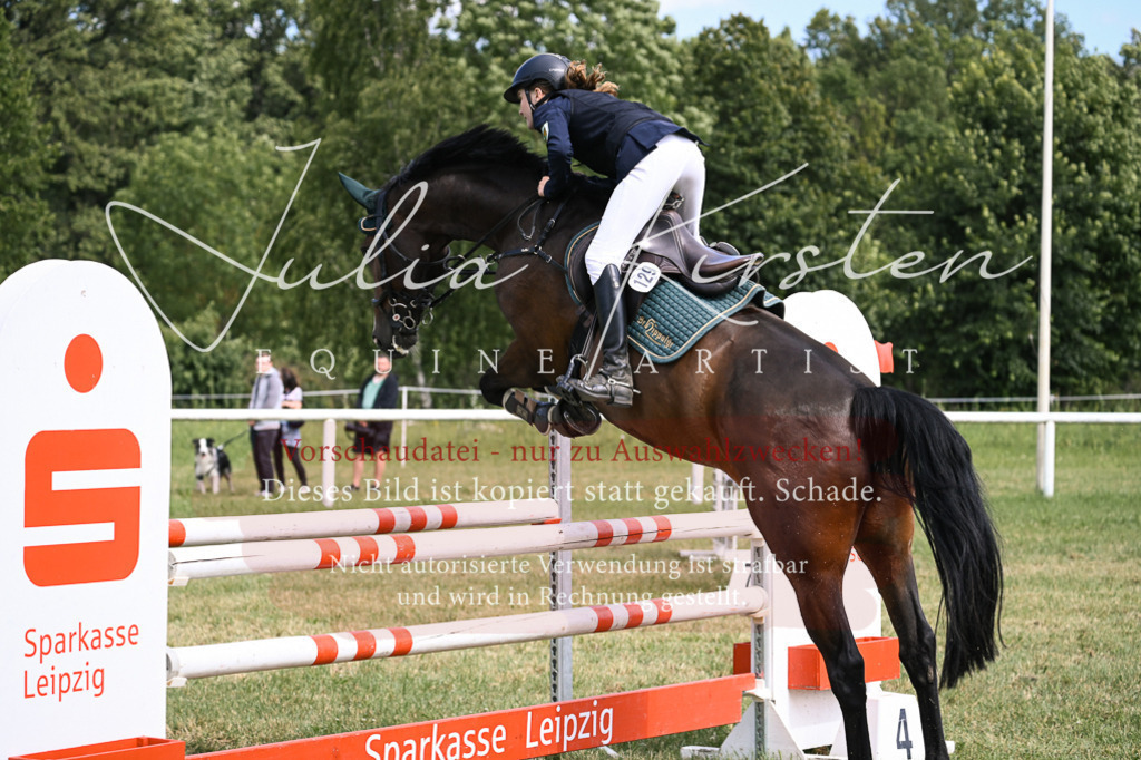 DSC_0608 | Pferde- und Turnierfotografie in Westsachsen. Pferdeportraits, Auftragszeichnungen und intuitive Kunst.