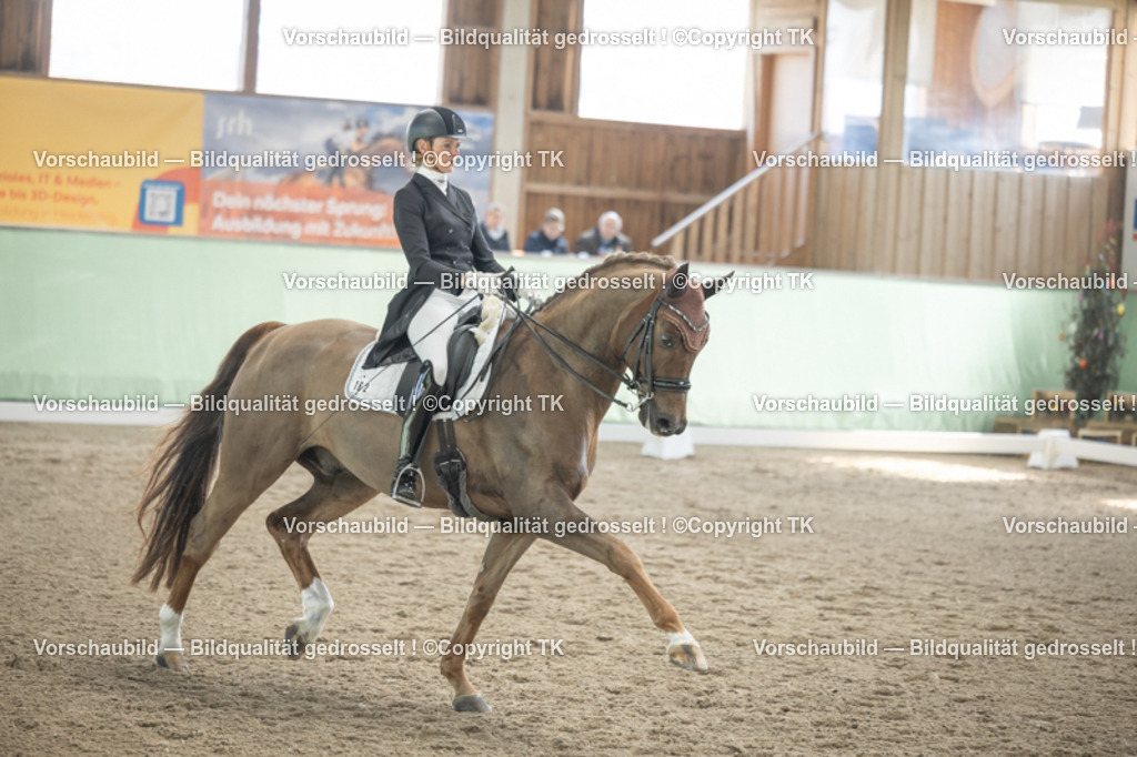 _D5A1248 | Emotionale Pferde- & People-Fotografie rund um Heidelberg, Leimen & Umgebung. Natürliche Fotos von Pferd, Mensch & Familie. Jetzt Termin sichern!