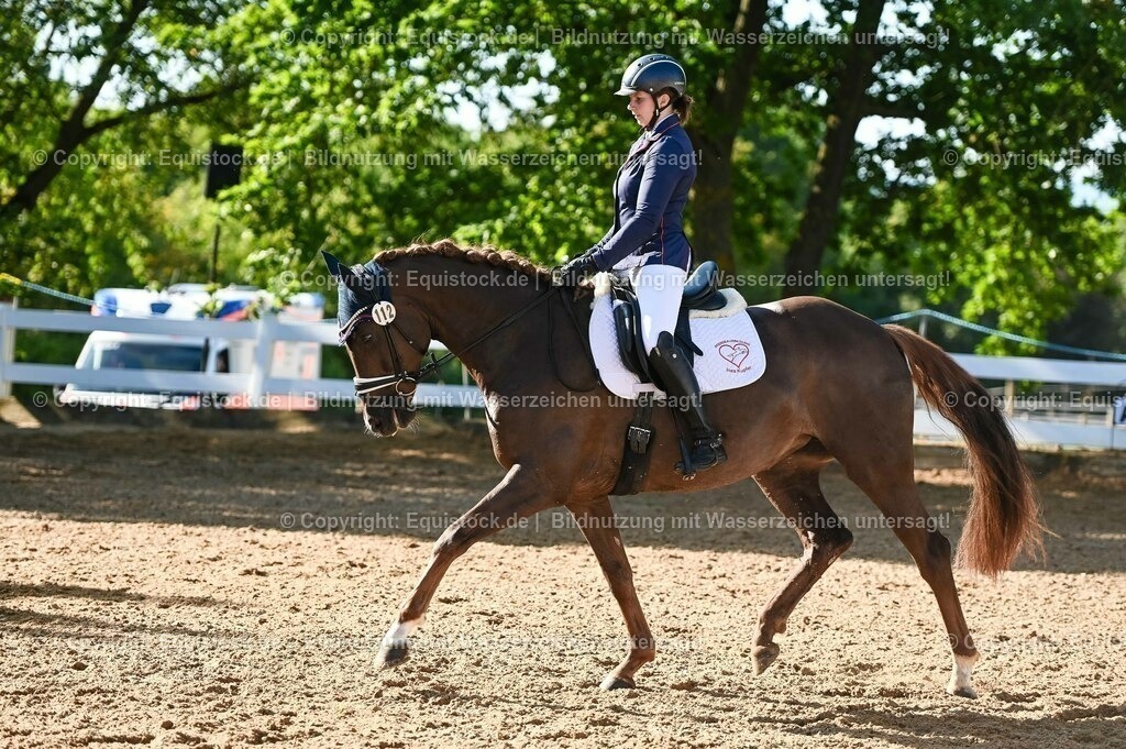 20230715_06_Dressurpferdeprfg. Kl.A_0136 | equistock