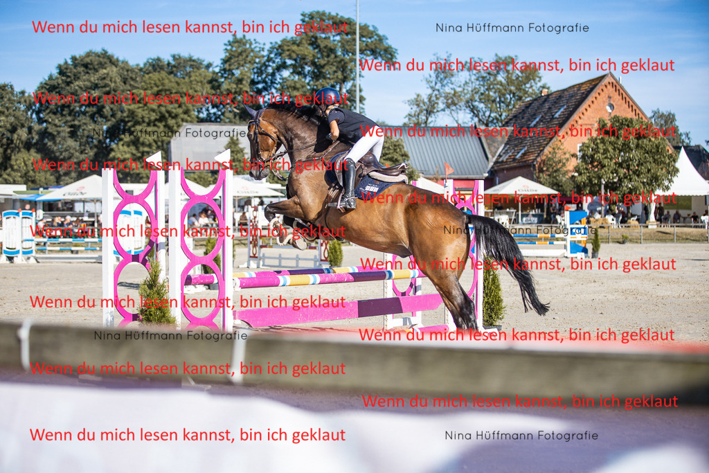 BK1A7451 | Turnierbilder Turnierfotos Nina Hüffmann Turnierfotografie Pferdefotografie Tierzeichnung Haustierzeichnung Pferdezeichnung Hundezeichnung Videograf  - Realisiert mit Pictrs.com