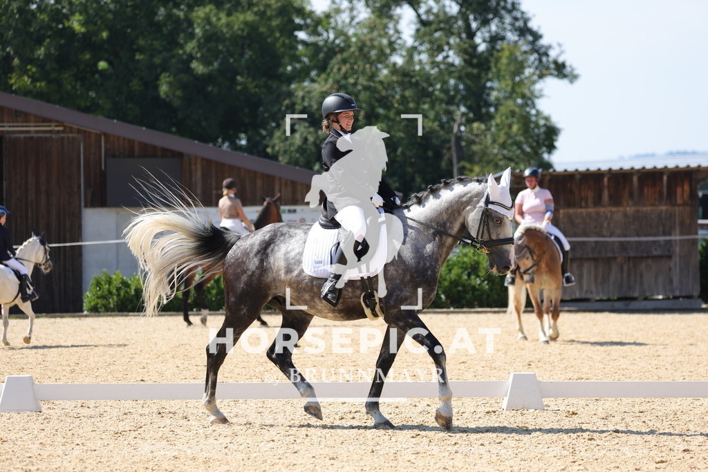 0P6A1356 | Willkommen bei Brunnmayr - Design & Fotografie – Ihrem Spezialisten für Reitturniere und Pferdeveranstaltungen in Oberösterreich, Salzburg und Bayern! Seit über 17 Jahren sind wir leidenschaftlich dabei.