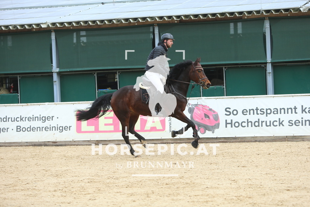 DL2Q9017 | Willkommen bei Brunnmayr - Design & Fotografie – Ihrem Spezialisten für Reitturniere und Pferdeveranstaltungen in Oberösterreich, Salzburg und Bayern! Seit über 17 Jahren sind wir leidenschaftlich dabei.