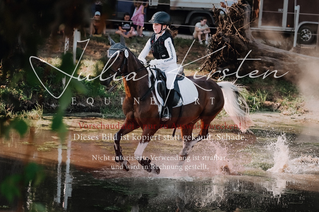 DSC_9000-2 | Pferde- und Turnierfotografie in Westsachsen. Pferdeportraits, Auftragszeichnungen und intuitive Kunst.