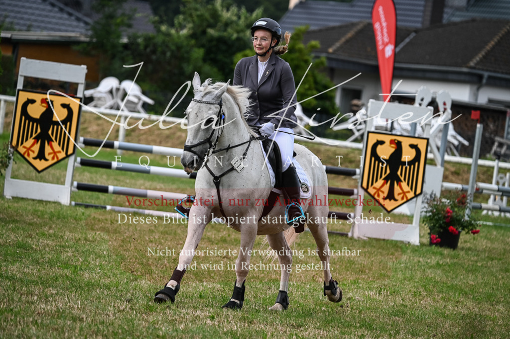 DSC_8638 | Pferde- und Turnierfotografie in Westsachsen. Pferdeportraits, Auftragszeichnungen und intuitive Kunst.
