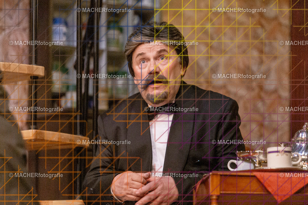 294_MFL-2025 | Portraitbilder von Regisseur; Darsteller; Techniker; Maske; Kostüme; Chor; Musiker; Bilderserie der Generalprobe und der Premierenvorstellung, Szenenbilder; Ausdrucksstudien; Bühnenüberblick; Bühnenkulissen; Pressefotos inkl. Redaktionsfoto Darstellergruppe.