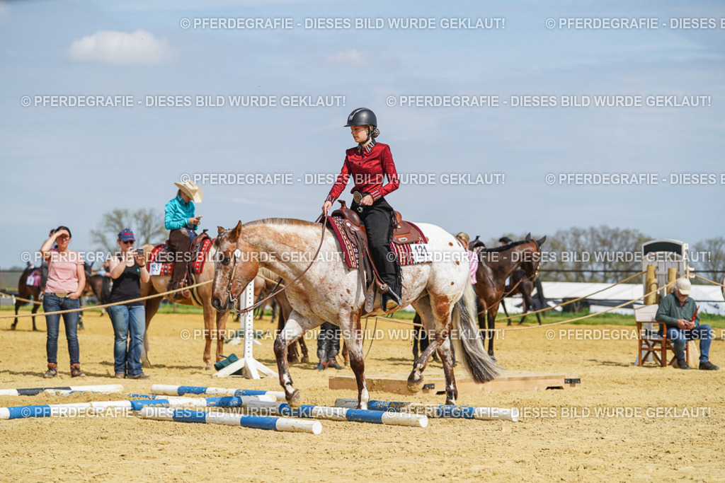 DSC04445 | Pferdegrafie