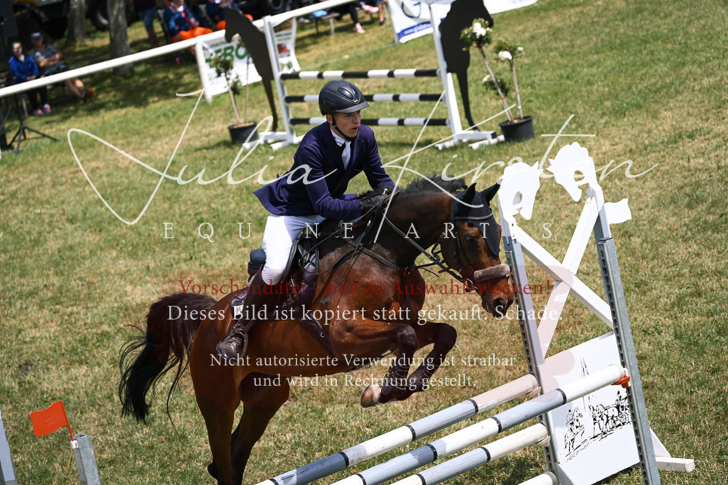 DSC_9557 | Pferde- und Turnierfotografie in Westsachsen. Pferdeportraits, Auftragszeichnungen und intuitive Kunst.