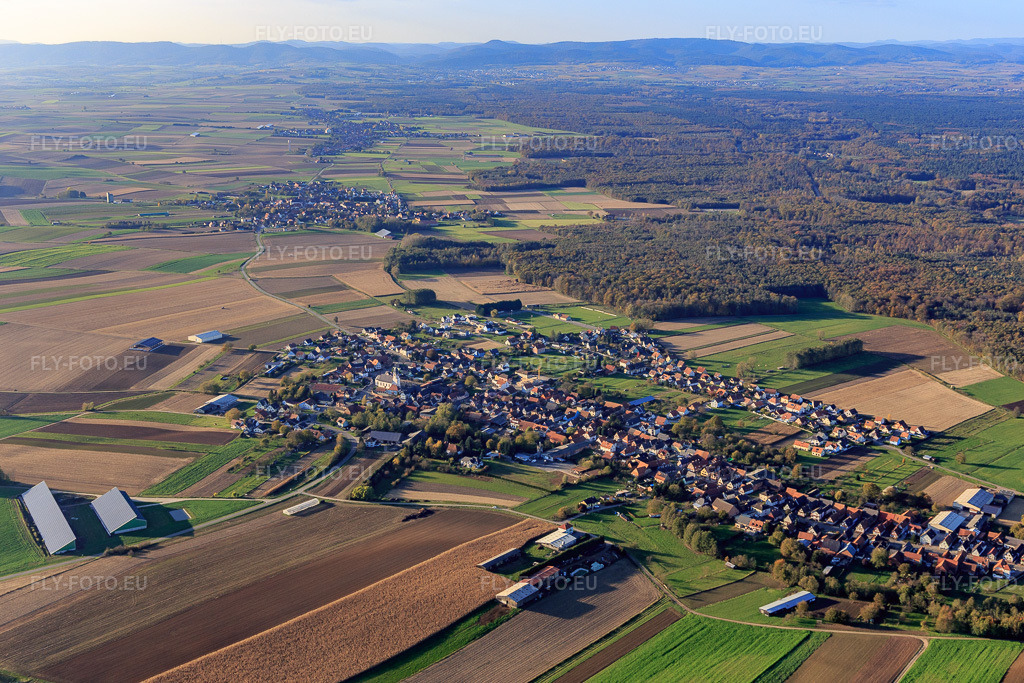 Vue aérienne: Vue de la ville depuis le sud-est à Niederlauterbach dans le département Bas Rhin, France – .Photo: IMG_104387.jpg prise le 31/10/2017 par Werner Riehm/FLY-FOTO.eu – Résolution de l'original: 5284 x 3523 px