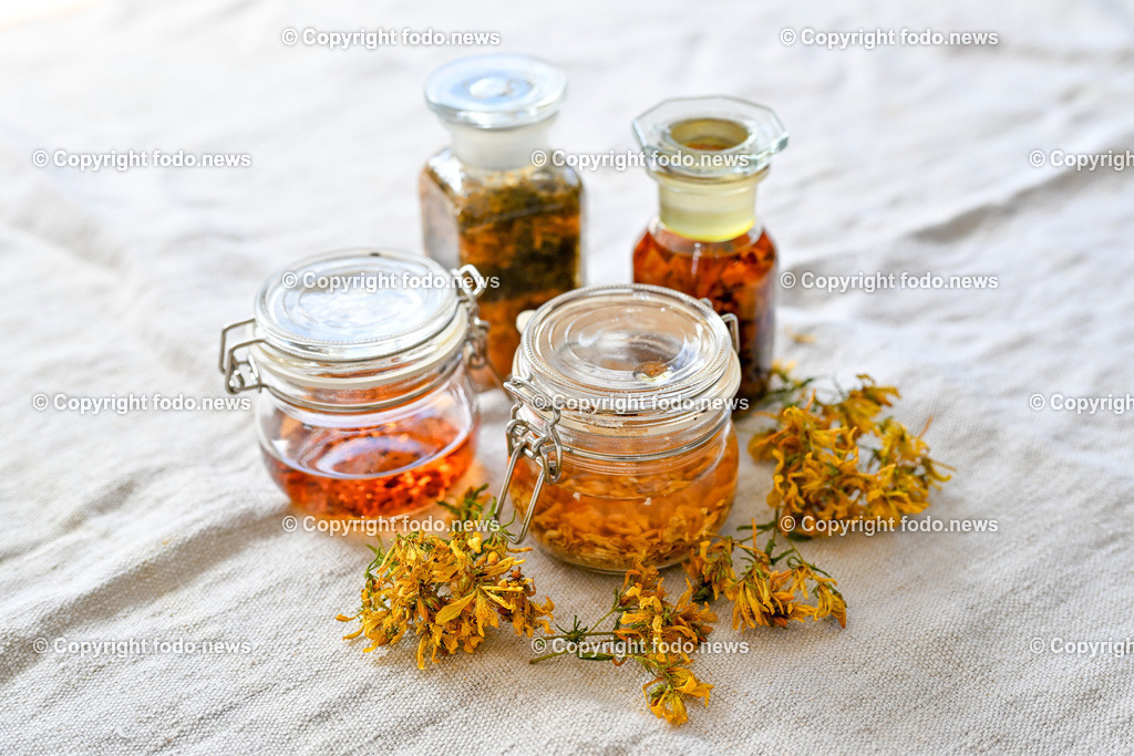 Doris Kern_ Kraeuter_ 03.07.2024-19 | 03.07.2024, Peilstein, AUT, Kraeuter, im Bild Verschiedene Tinkturen in Alkohol angesetzt, Johanniskraut