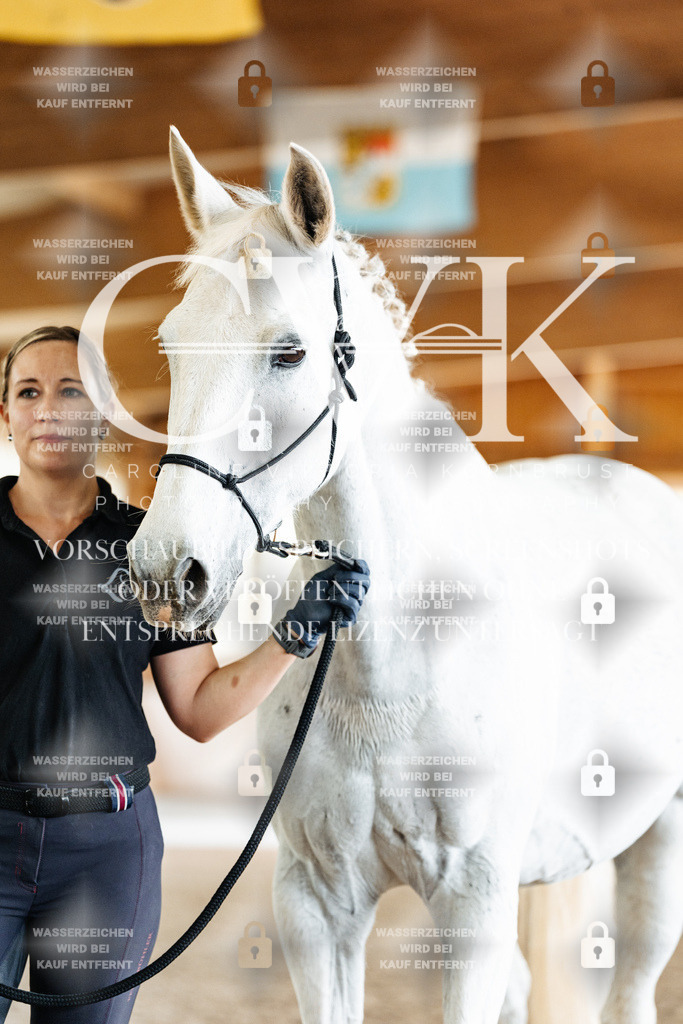 CK908228 | Turnierfotografie Pferdefotografie Trier Rheinland-Pfalz Pferdesport Reitsport Tierfotografie Sportfotografie Pferdevideo Pferdevideografie Equestrianvideography equestrianphotography  - Realized with Pictrs.com