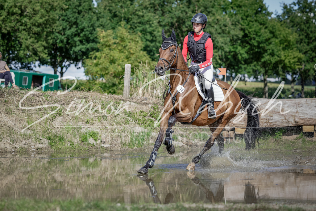20250906-_3LI6781 | Tierfotografie Pferde, Hunde, Katzen, Haustiere.
Turnierfotografie Reitturniere, Reiten, Springreiten, Dressur in Hanau, dem Main-Kinzig-Kreis und dem Rhein-Main- Gebiet um Frankfurt