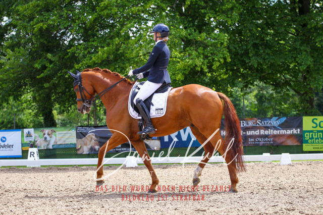 DKP41220 | Turnierfotos kaufen im Webshop von Daniel Kuhl Photography – entdecke professionelle Reitsportfotos aus Turnieren & Events. Hochwertige Turnierbilder online bestellen & sichern. Jetzt Fotos von Reitsportturnieren kaufen!