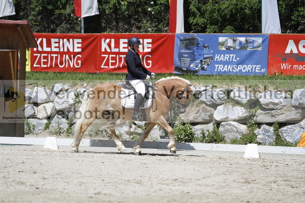 _MG_5288 | equestrian-live-com
