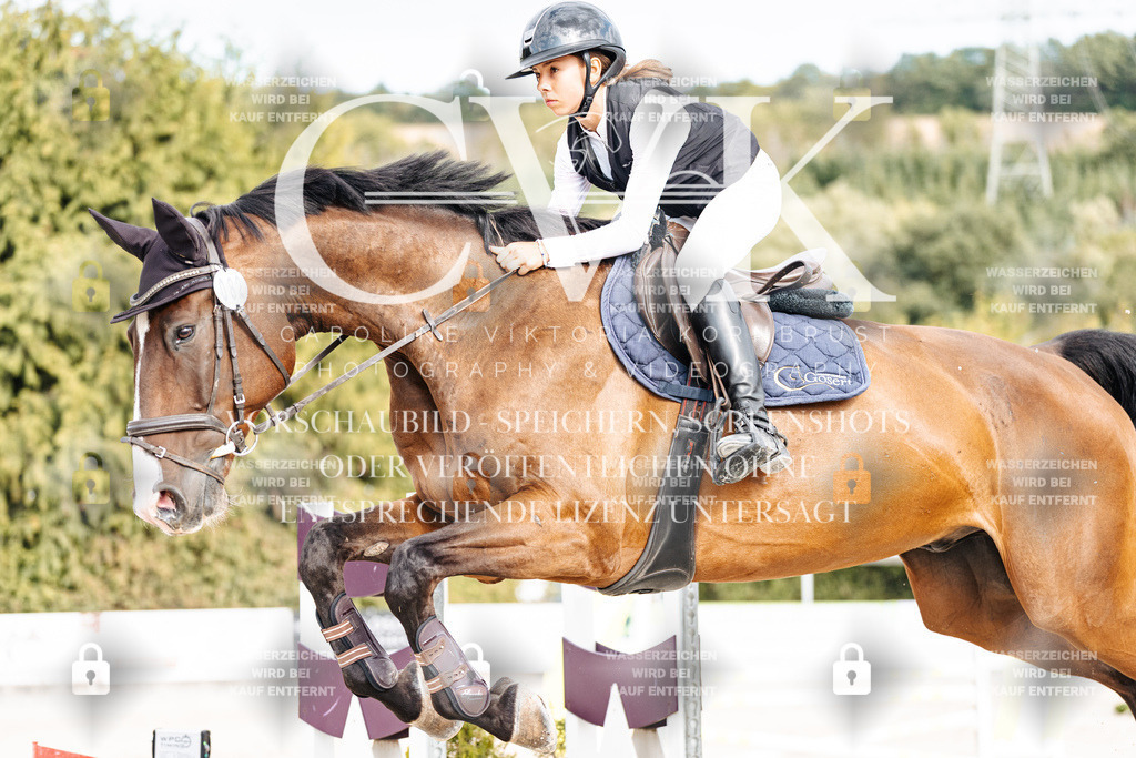 CK902963 | Turnierfotografie Pferdefotografie Trier Rheinland-Pfalz Pferdesport Reitsport Tierfotografie Sportfotografie Pferdevideo Pferdevideografie Equestrianvideography equestrianphotography  - Realisiert mit Pictrs.com