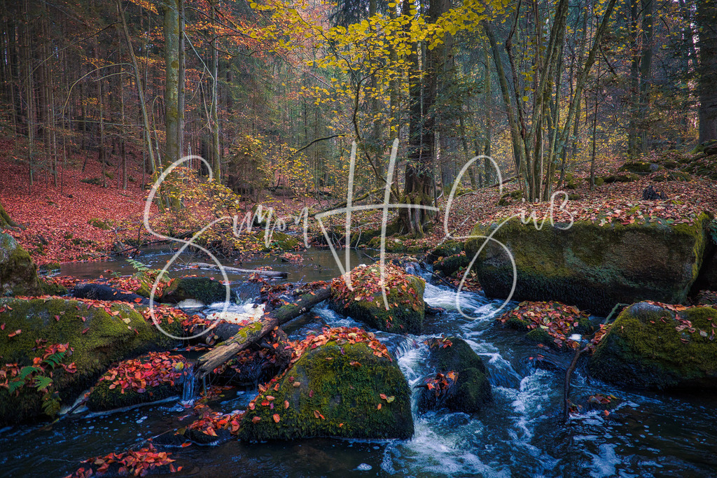 Höllbachtal | simonsuess - Realisiert mit Pictrs.com