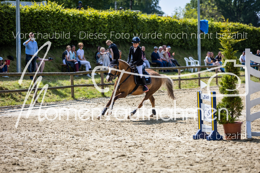 Donop24-SprRW-015 | MomenTaufnahmen Pferdesportfotos