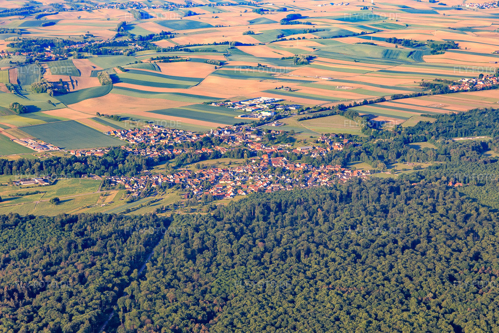 Luftbild: Dorf jenseits des Bienwalds in Scheibenhardt im Bundesland Rheinland-Pfalz in Deutschland. – Foto: IMG_131497.jpg vom 18.05.2022 durch Werner Riehm/FLY-FOTO.de – Auflösung des Originals: 5472 x 3648 px