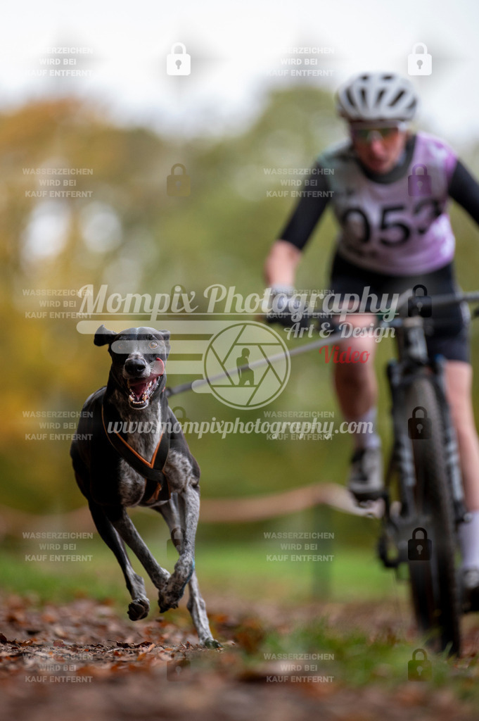 DBT_DAKM_SA_4_11_2023_Bike-26 | PayLife