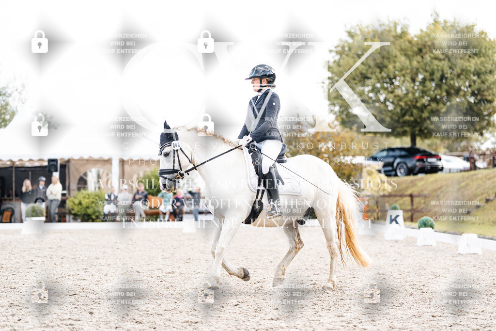 CK901548 | Turnierfotografie Pferdefotografie Trier Rheinland-Pfalz Pferdesport Reitsport Tierfotografie Sportfotografie Pferdevideo Pferdevideografie Equestrianvideography equestrianphotography  - Realisiert mit Pictrs.com