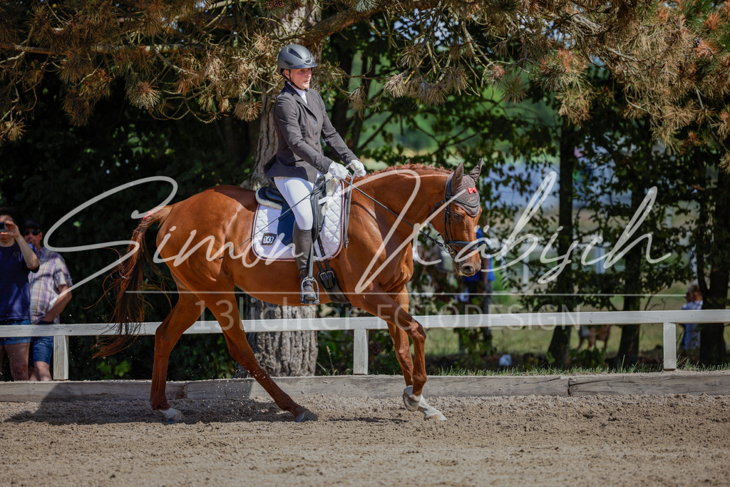 20250906-_3LI4873 | Tierfotografie Pferde, Hunde, Katzen, Haustiere.
Turnierfotografie Reitturniere, Reiten, Springreiten, Dressur in Hanau, dem Main-Kinzig-Kreis und dem Rhein-Main- Gebiet um Frankfurt