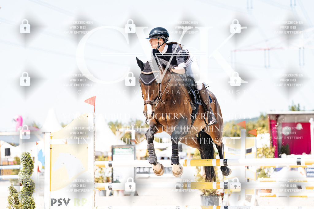 CK909831 | Turnierfotografie Pferdefotografie Trier Rheinland-Pfalz Pferdesport Reitsport Tierfotografie Sportfotografie Pferdevideo Pferdevideografie Equestrianvideography equestrianphotography  - Realisiert mit Pictrs.com