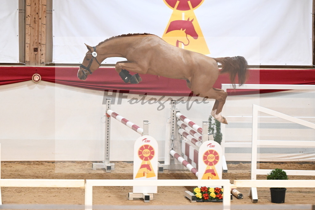 Kat.-Nr. 26 v. Kincsem_Schlamminger_3261736 | hf-fotografie - Realisiert mit Pictrs.com