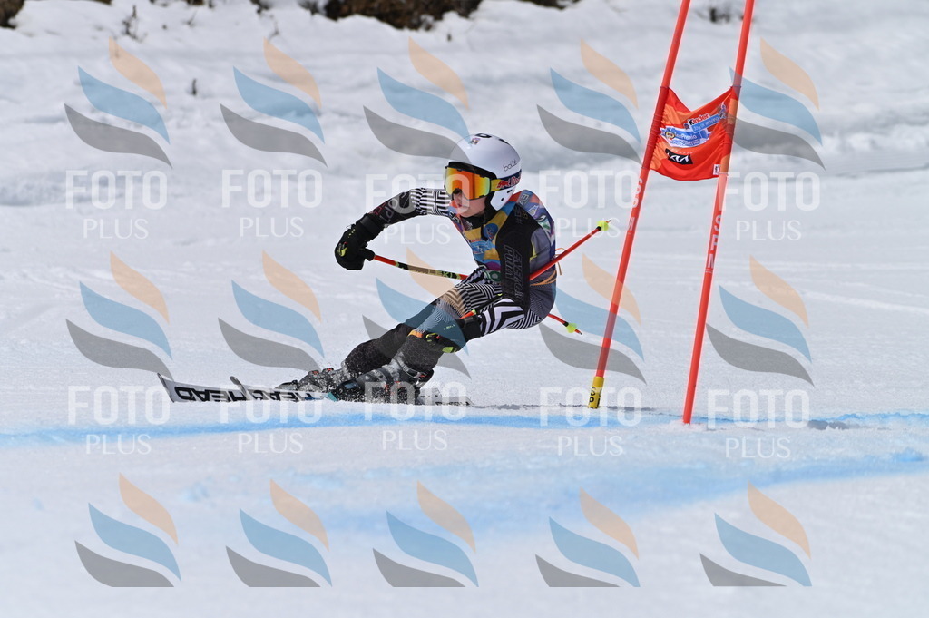 BGV_7106 | holidayphoto