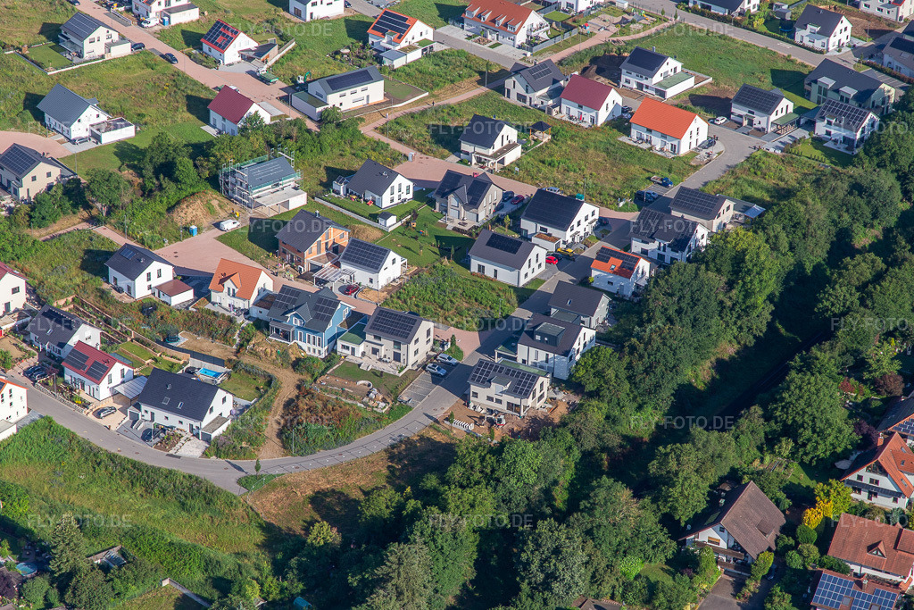 Luftbild: Rosenweg in Kandel im Bundesland Rheinland-Pfalz in Deutschland. Foto: IMG_141854.jpg vom 18.06.2024 durch Werner Riehm/FLY-FOTO.de
