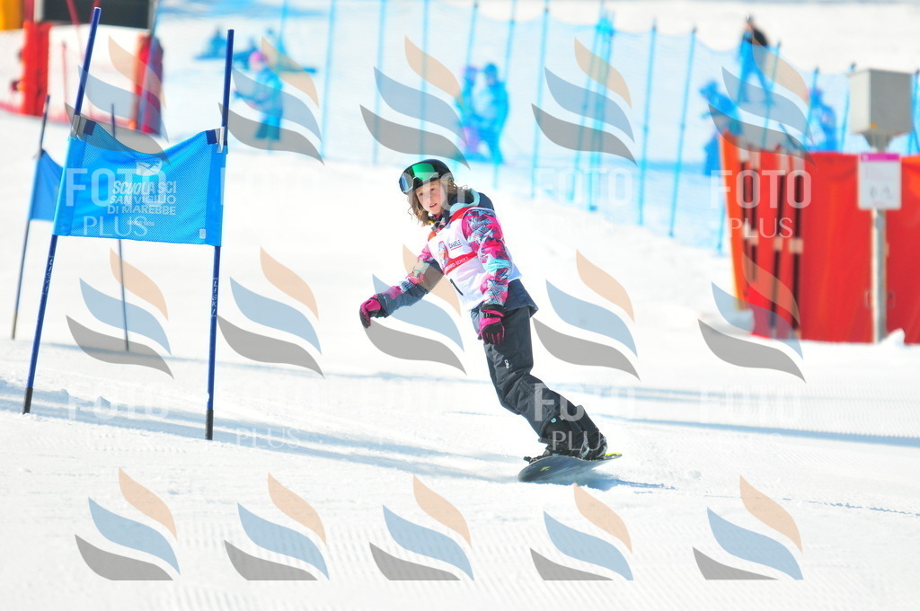 B8706 | holidayphoto