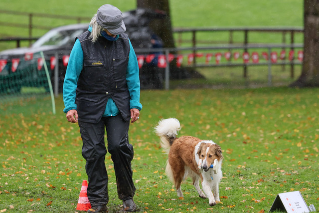 2025_Rally_Obedience_SM-165 | Ich fotografiere Hundeausstellungen, Sportanlässe, Zuchtstätten, Hundezucht, Hundeportrait, Lagotto - Realisiert mit Pictrs.com
