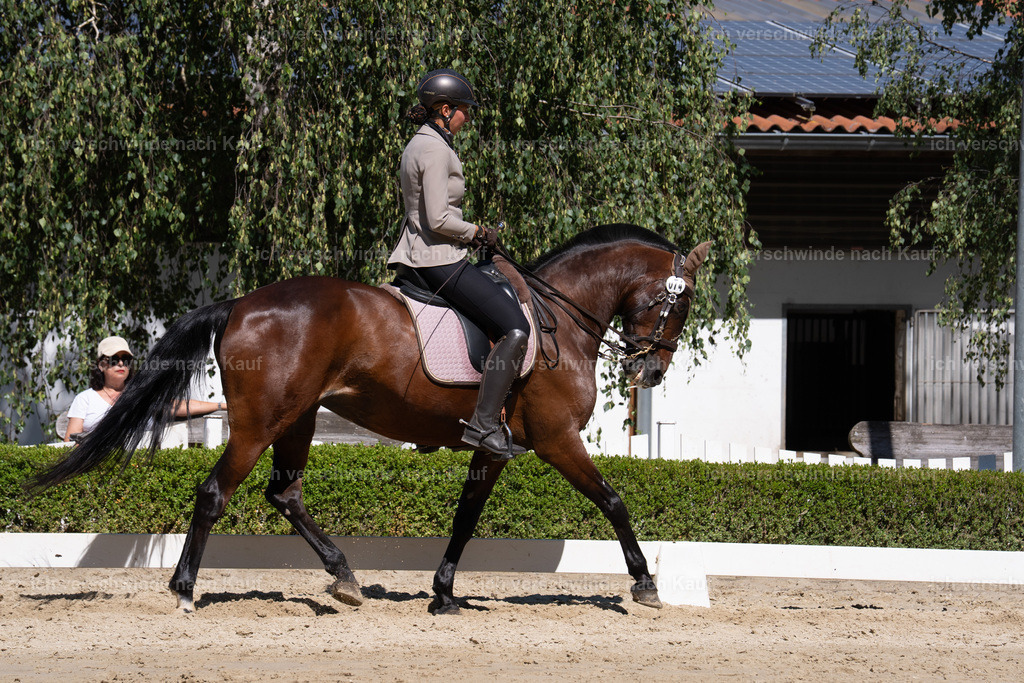 WL_DR_58_sinafilmart_IN07655 | working equitationturnier fotograf videograf stoibphotography marixx film working equitation deutschland reitsport turnierfotografie eventfotografie equestrian events