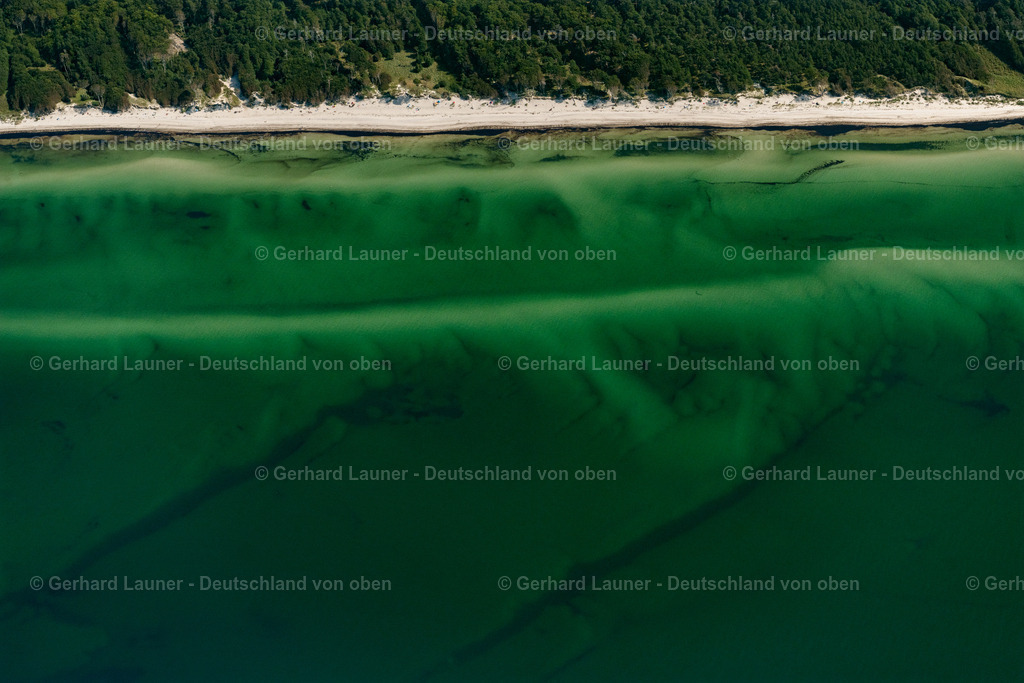 4061869 | Weststrand, Nationalpark Vorpommersche Boddenlandschaft, BORN AM DARß 08.09.2021 Küsten- Landschaft am Sandstrand der Ostsee am Weststrand auf der Halbinsel Darß im Bundesland, Deutschland. // Coastal landscape on the sandy beach of the Baltic Sea on the west beach on the Darss peninsula in the state, Germany. Foto: Gerhard Launer
