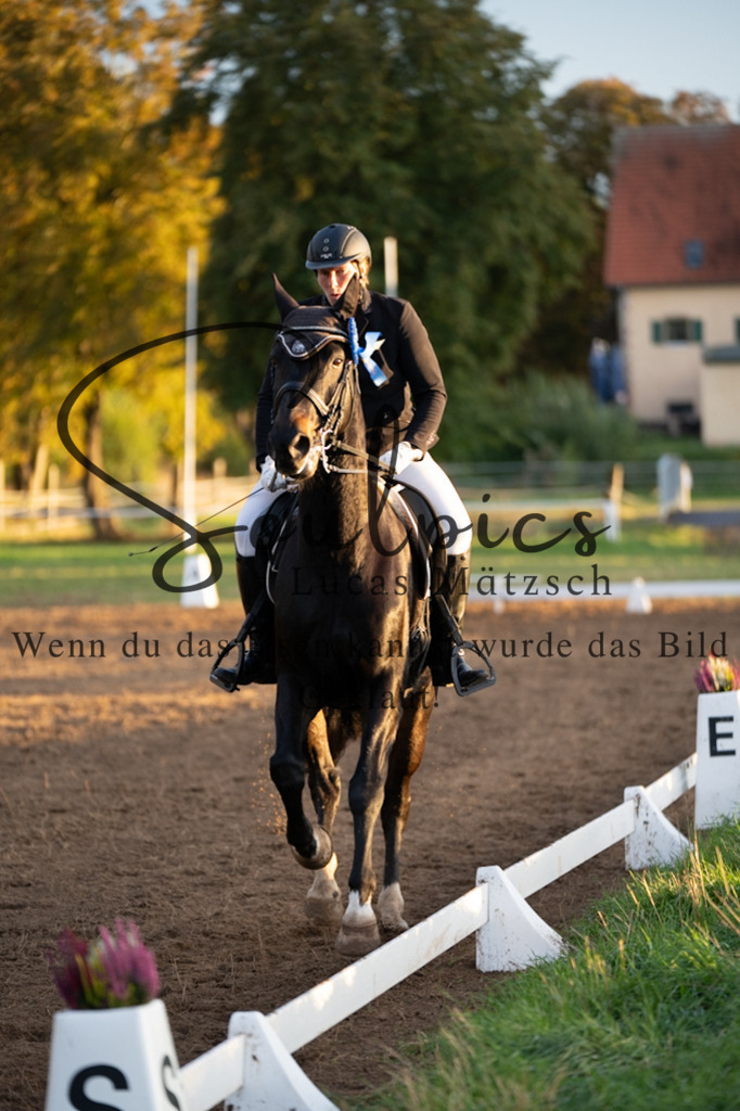 A7V06185 | Pferdefotograf