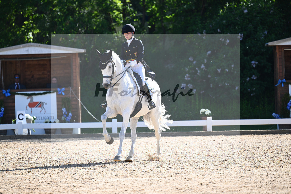 Schuermann_Heldgards Accoya_12244849 | hf-fotografie - Realisiert mit Pictrs.com