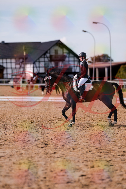 2026_10_03_Siefer-Hof_132604_Z81_78740015 | Professionelle Reitsport-, Turnier- und Eventfotografie von Robert Broda. Galerien mit ausgewählten und bearbeiteten Bildern direkt online ansehen und bestellen.
