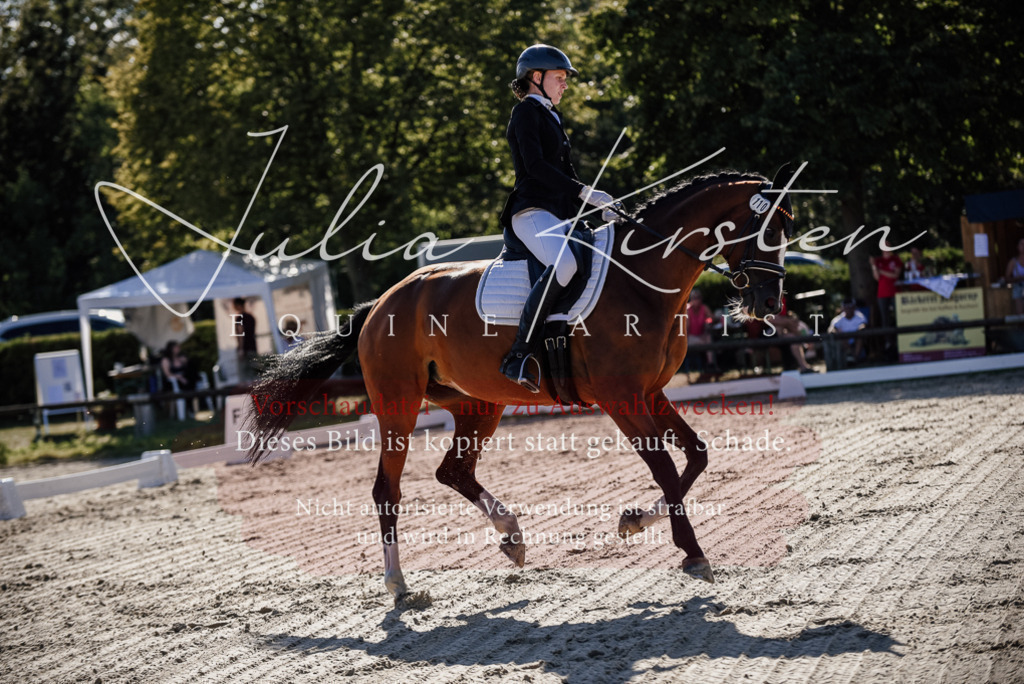 DSC_0345 | Pferde- und Turnierfotografie in Westsachsen. Pferdeportraits, Auftragszeichnungen und intuitive Kunst.