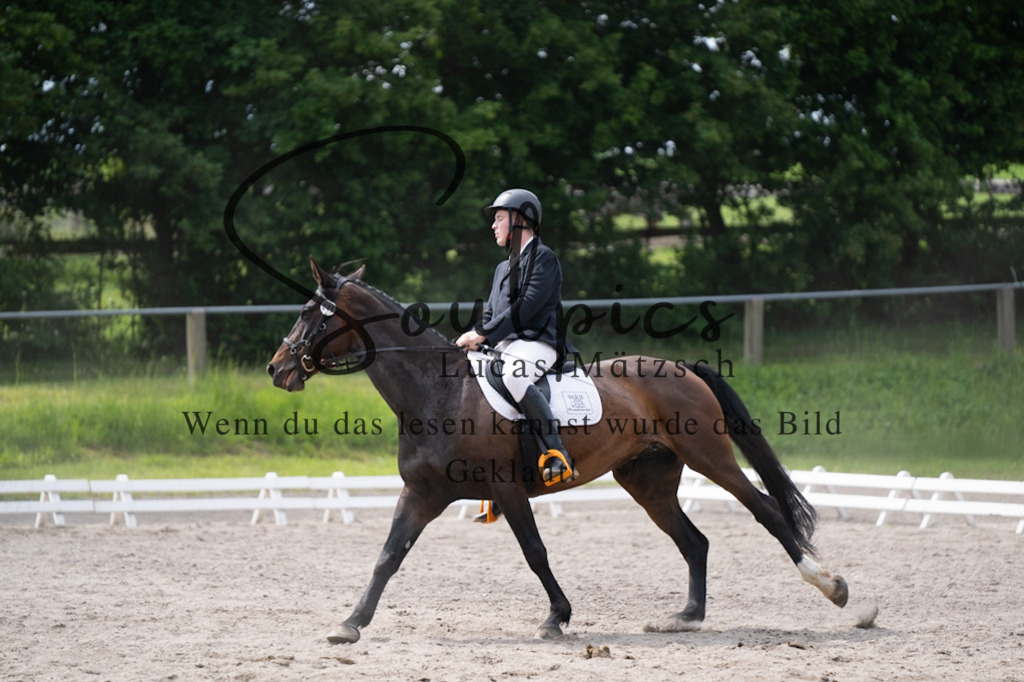 A7V02672 | Pferdefotograf