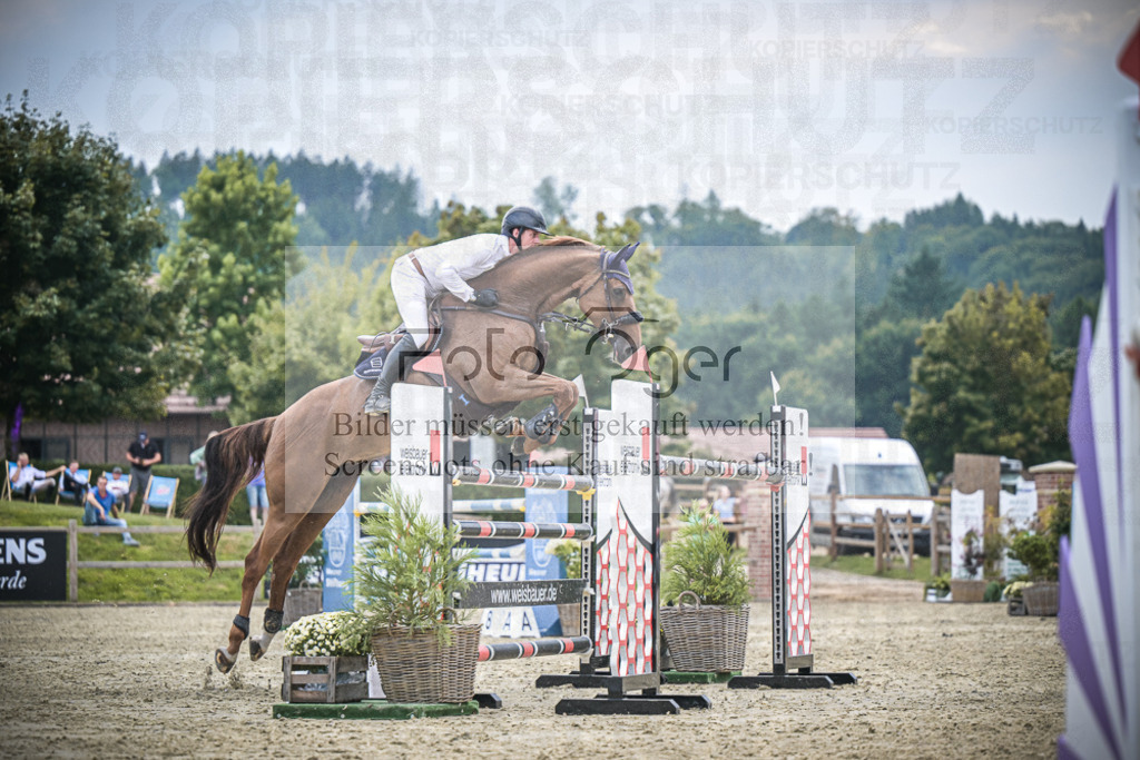 DOS_2403 | Entdecke hochwertige Reitturnierfotos von Foto Oger. Professionell, emotional und authentisch – jetzt Lieblingsmomente im Shop bestellen.Deutschlandweite Turnierfotografie. - Realisiert mit Pictrs.com